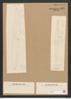 Plagiotropis elegans (de-Toni-Nr.: Genus 30) Zeichnungen Sammlung Grunow Nr. 2492 (NHMW-BOT-W0369813)